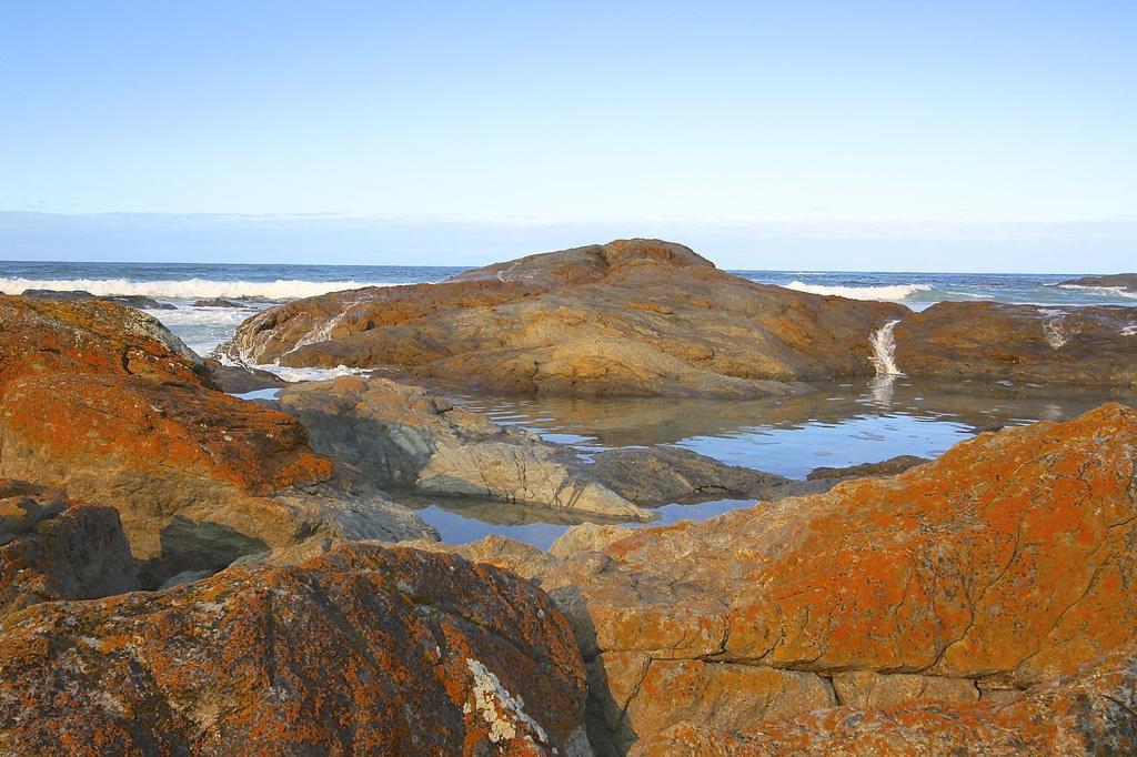 Saltwater - Absolute Oceanfront, Fire Pits, Some Villas With Hot Tubs And Sauna Falmouth Exterior foto